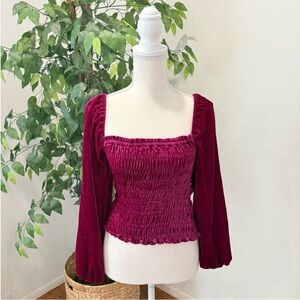 NWT Anthropology Smoked Velvet Top Magenta Size XS